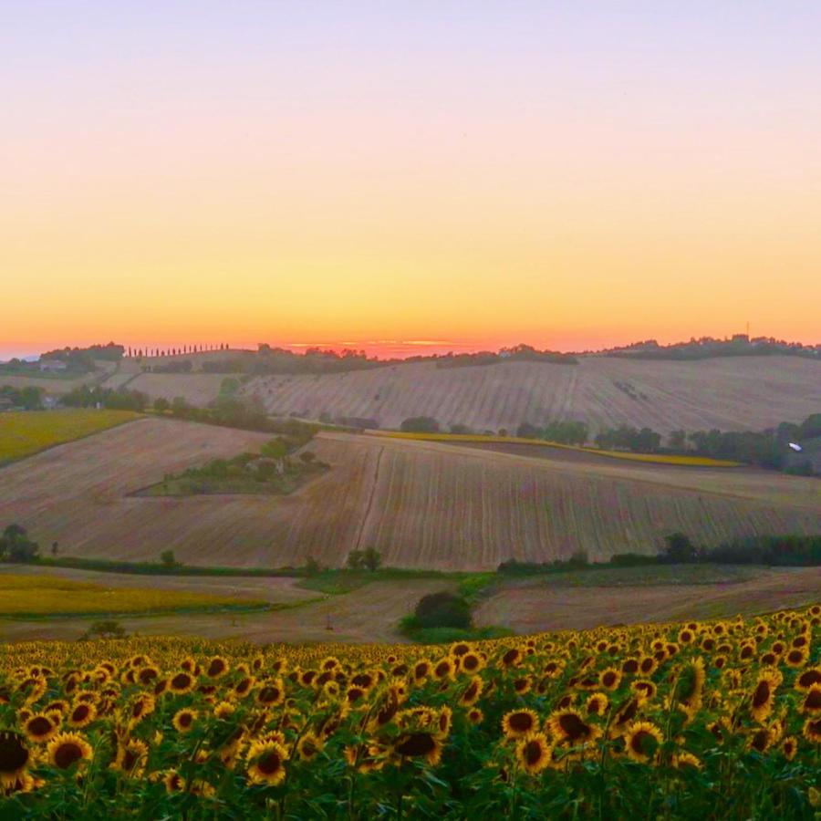 Bed and Breakfast Fontebella Montemarciano Exterior foto
