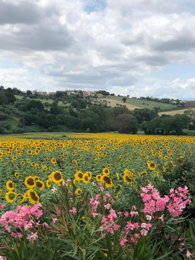 Bed and Breakfast Fontebella Montemarciano Exterior foto