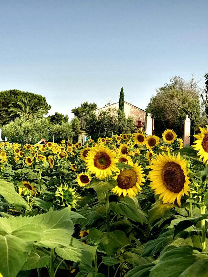 Bed and Breakfast Fontebella Montemarciano Exterior foto