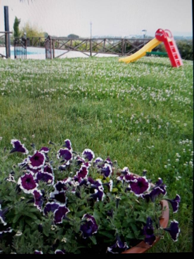 Bed and Breakfast Fontebella Montemarciano Exterior foto