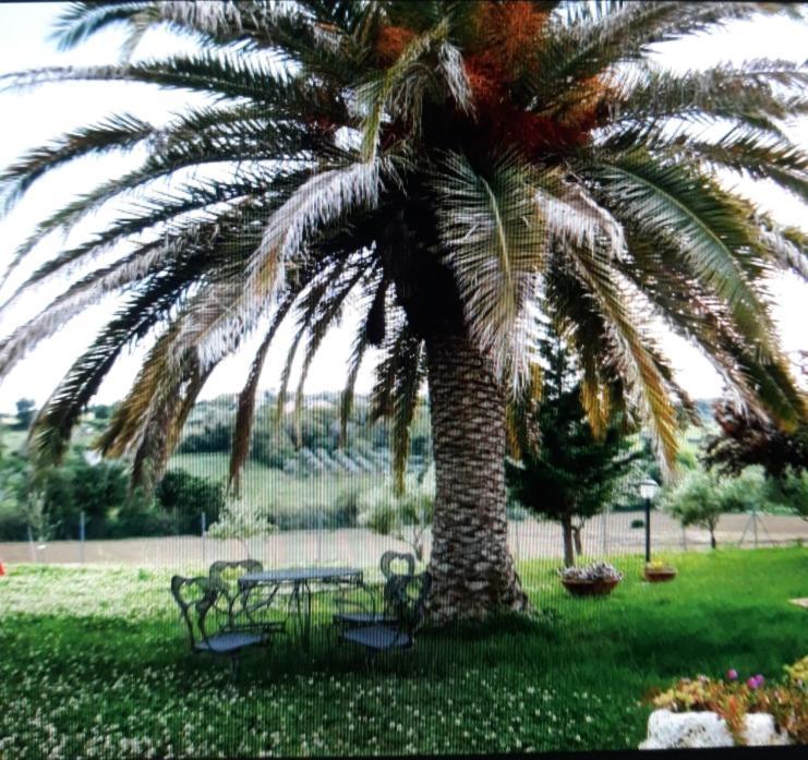 Bed and Breakfast Fontebella Montemarciano Exterior foto