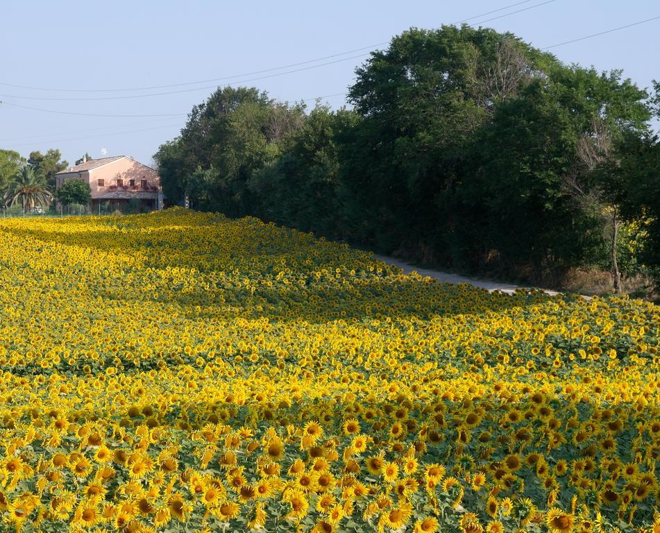 Bed and Breakfast Fontebella Montemarciano Exterior foto